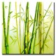 Obraz olejny w blejtramie bambus G01637