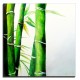 Obraz olejny w blejtramie bambus G01667